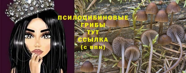 бошки Козловка