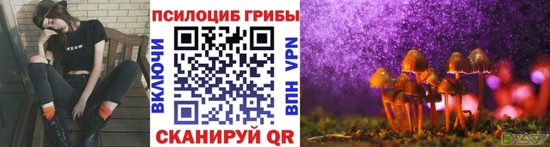 Псилоцибиновые грибы Cubensis  цена наркотик  Бердск 